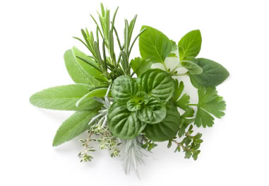 fresh-herbs